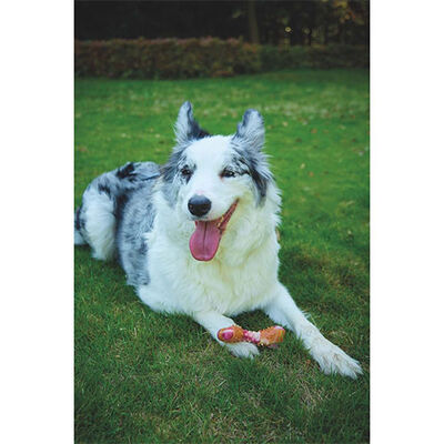 M-Pets Carnivore Bone Pastırma Aromalı Kemik Köpek Oyuncağı Medium 13,5x5,7x4,9 Cm 