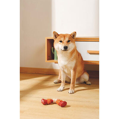 M-Pets Carnivore Boomerang Bone Pastırma Aromalı Kemik Köpek Oyuncağı Large 17,8x9,3x4,1 Cm 