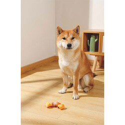 M-Pets Carnivore Boomerang Bone Pastırma Aromalı Kemik Köpek Oyuncağı Small 12,5x6,1x3,7 Cm - Thumbnail