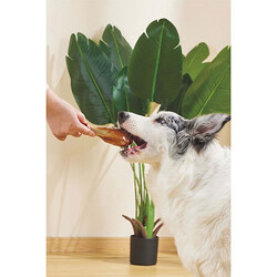 M-Pets Carnivore But Şeklinde Pastırma Aromalı Kemik Köpek Oyuncağı 12,4x6,1x3,5 Cm - Thumbnail