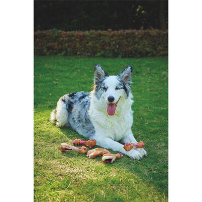 M-Pets Carnivore But Şeklinde Pastırma Aromalı Kemik Köpek Oyuncağı 12,4x6,1x3,5 Cm 