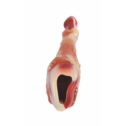 M-Pets Carnivore But Şeklinde Pastırma Aromalı Kemik Köpek Oyuncağı 12,4x6,1x3,5 Cm - Thumbnail
