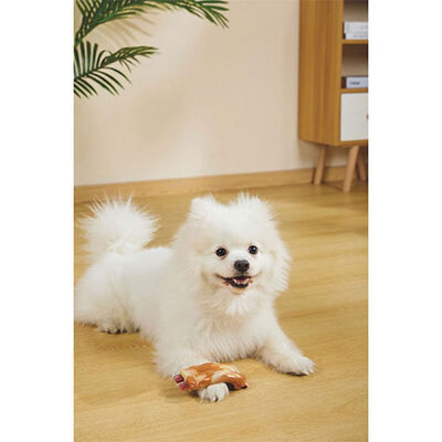 M-Pets Carnivore Pastırma Aromalı Kemik Köpek Oyuncağı 14,5x5,1x5 Cm 