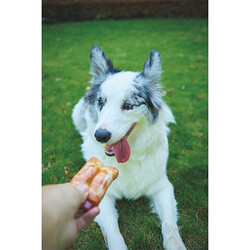 M-Pets Carnivore Pastırma Aromalı Kemik Köpek Oyuncağı 14,5x5,1x5 Cm - Thumbnail