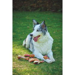 M-Pets Carnivore Pastırma Aromalı Kemik Köpek Oyuncağı 14,5x5,1x5 Cm - Thumbnail