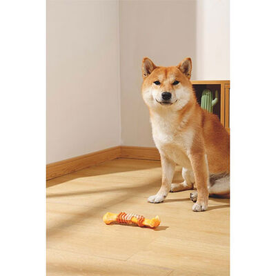 M-Pets Carnivore Ring Bone Pastırma Aromalı Kemik Köpek Oyuncağı Sarı Small 17,8x4,9x4 Cm 