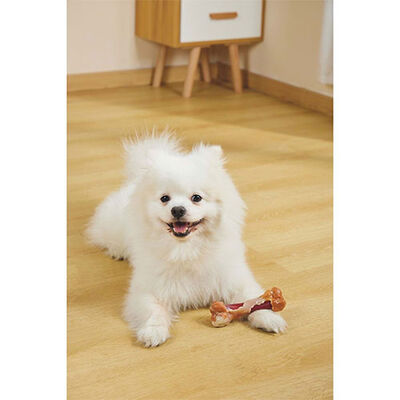 M-Pets Carnivore Savoury Bone Pastırma Aromalı Kemik Köpek Oyuncağı 14,5x5,1x5 Cm 