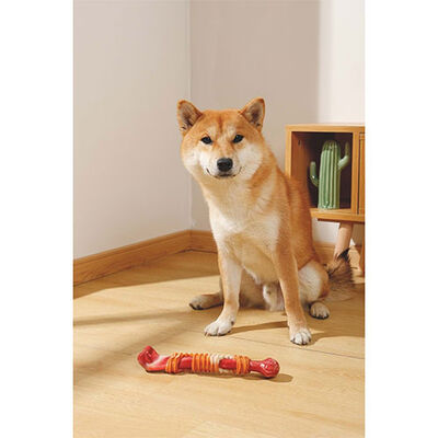 M-Pets Carnivore Stick Bone Pastırma Aromalı Kemik Köpek Oyuncağı Kırmızı Large 25,4x5,5x4,8 Cm 