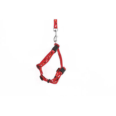 M-Pets Catogo Kedi Göğüs Tasması Seti Kırmızı 90-170 Cm 