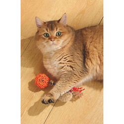 M-Pets Charmy Amulet Turuncu Matatabili Kedi Oyuncağı 18 cm - Thumbnail