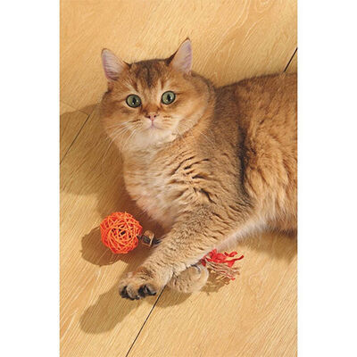 M-Pets Charmy Amulet Turuncu Matatabili Kedi Oyuncağı 18 cm 
