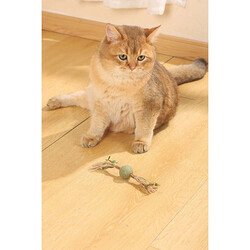M-Pets Charmy Brancy Yeşil Catnipli Kedi Oyuncağı 18 cm - Thumbnail