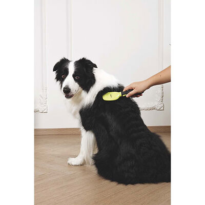 M-Pets Click & Groom Kıl Fırça Kedi ve Köpek Tarağı 22x5,2x3,7 cm 