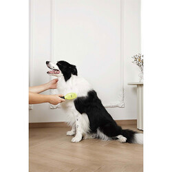 M-Pets Click & Groom Masaj Uçlu Kedi ve Köpek Tarağı 22x5,2x4,4 Cm - Thumbnail