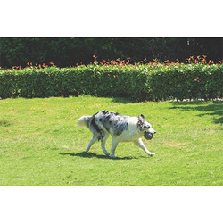 M-Pets Coto Örgü Top Köpek Oyuncağı Gri 9,5 Cm - Thumbnail