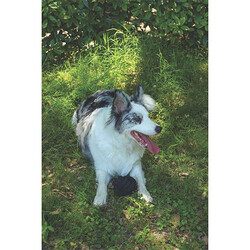 M-Pets Coto Örgü Top Köpek Oyuncağı Siyah 9,5 Cm - Thumbnail