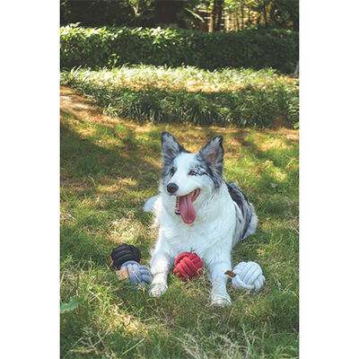 M-Pets Coto Red Ball Örgü Top Köpek Oyuncağı 9,5 Cm 