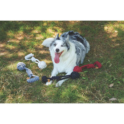 M-Pets Coto Red Tug Ball Örgü Köpek Oyuncağı 36 Cm 