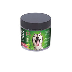 M-Pets - M-Pets Diş Sağlığı İçin Yeşil Çaylı Mini Köpek Ödülü 110 Gr 