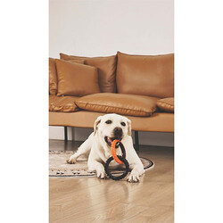 M-Pets Double Ring King Köpek Oyuncağı 2'li 20x12,7x2,2 Cm - Thumbnail