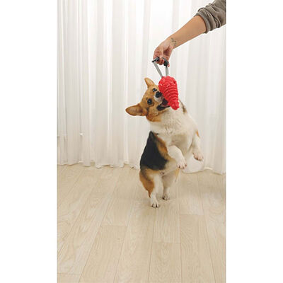 M-Pets Drogo Ödül Hazneli Köpek Oyuncağı Turuncu 18x8,5x8,5 Cm 