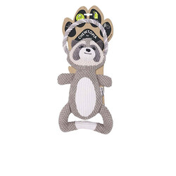 M-Pets - M-Pets Eco Chewtopia Rakun Köpek Oyuncağı 35x19x8 Cm 