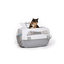 M-Pets Eco Giro Carrier Köpek Taşıma Çantası Bej 57x36x32 Cm - Thumbnail