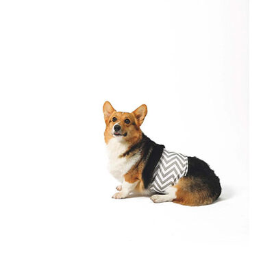 M-Pets Erkek Köpekler İçin Yıkanabilir Külot XXLarge 