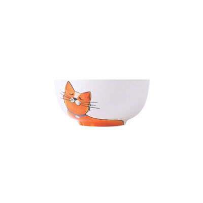 M-Pets Galya Seramik Kedi Mama ve Su Kabı 550 Ml 