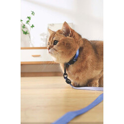 M-Pets Gentle Kedi Boyun Tasması Mavi 20-30 Cm - Thumbnail