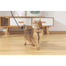 M-Pets Gentle Kedi Boyun Tasması Mavi 20-30 Cm - Thumbnail
