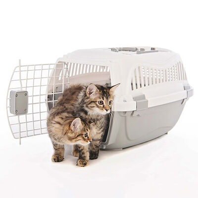 M-Pets Giro Carrier Kedi ve Köpek Taşıma Çantası Bej Beyaz 51,6x32,7x29,6 Cm 