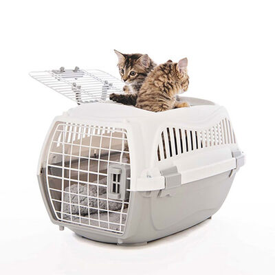 M-Pets Giro Carrier Kedi ve Köpek Taşıma Çantası Bej Beyaz 51,6x32,7x29,6 Cm 