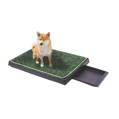 M-Pets Grass Mat Çimli Çekmeceli Köpek Tuvaleti 50x76 Cm 