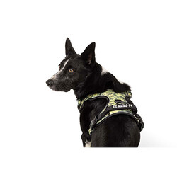 M-Pets Hiking Reflektörlü Köpek Göğüs Tasması Kamuflaj Large 45-95 Cm - Thumbnail