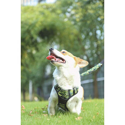 M-Pets Hiking Reflektörlü Köpek Göğüs Tasması Kamuflaj Medium 40-75 Cm - Thumbnail