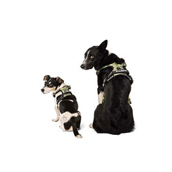 M-Pets Hiking Reflektörlü Köpek Göğüs Tasması Kamuflaj XLarge 50-110 Cm - Thumbnail