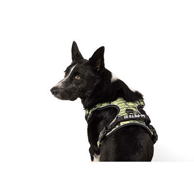 M-Pets Hiking Reflektörlü Köpek Göğüs Tasması Kamuflaj XLarge 50-110 Cm 