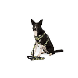 M-Pets Hiking Reflektörlü Köpek Göğüs Tasması Kamuflaj XLarge 50-110 Cm - Thumbnail