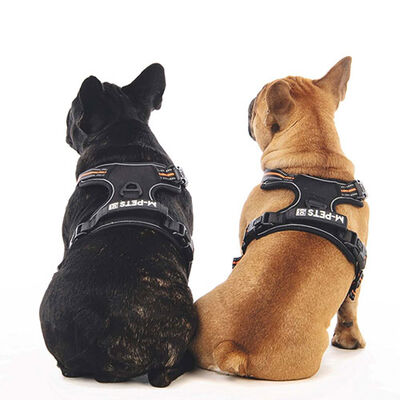 M-Pets Hiking Reflektörlü Köpek Göğüs Tasması Turuncu Medium 40-75 Cm 
