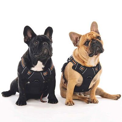 M-Pets Hiking Reflektörlü Köpek Göğüs Tasması Turuncu Small 35-60 Cm 