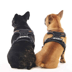 M-Pets Hiking Reflektörlü Köpek Göğüs Tasması Turuncu Small 35-60 Cm - Thumbnail