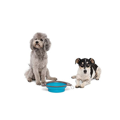 M-Pets Kedi ve Köpekler İçin Katlanır Silikon Mama ve Su Kabı Mavi 750 Ml 