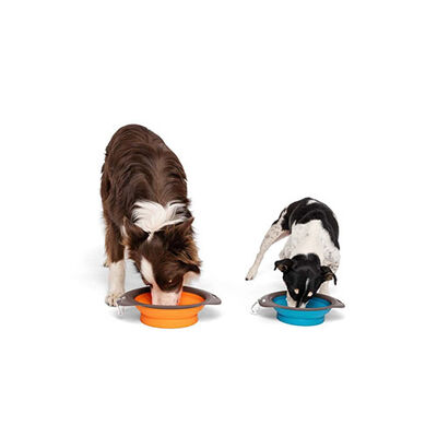 M-Pets Kedi ve Köpekler İçin Katlanır Silikon Mama ve Su Kabı Mavi 750 Ml 