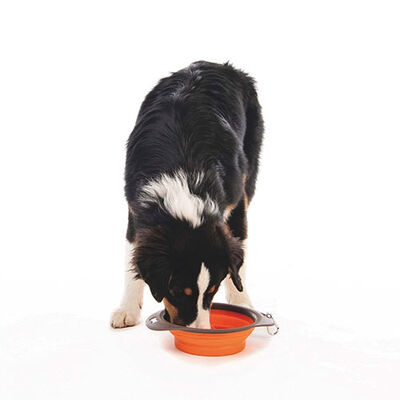 M-Pets Kedi ve Köpekler İçin Katlanır Silikon Mama ve Su Kabı Turuncu 1230 Ml 