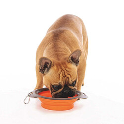 M-Pets Kedi ve Köpekler İçin Katlanır Silikon Mama ve Su Kabı Turuncu 750 Ml - Thumbnail
