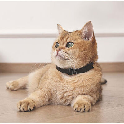 M-Pets Keep Calm Calming Sakinleştici Kedi Tasması 4'lü Mix Color 