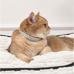 M-Pets Keep Calm Calming Sakinleştici Kedi Tasması Gri - Thumbnail