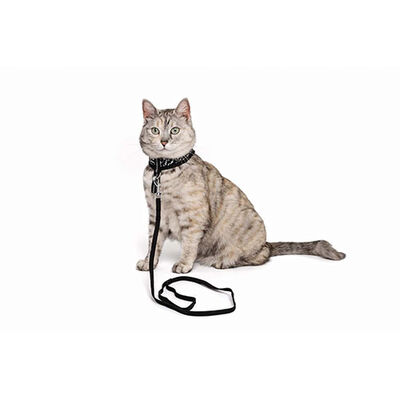 M-Pets Letsgo Kedi Göğüs Tasması Seti 30-42 Cm 