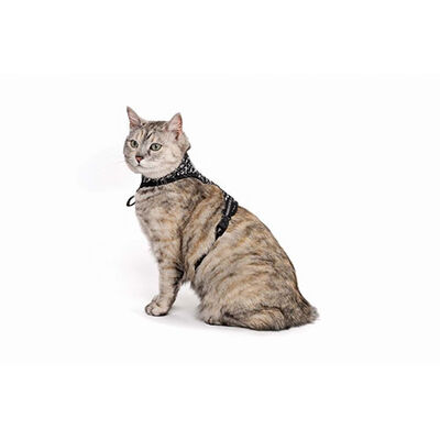 M-Pets Letsgo Kedi Göğüs Tasması Seti 30-42 Cm 
